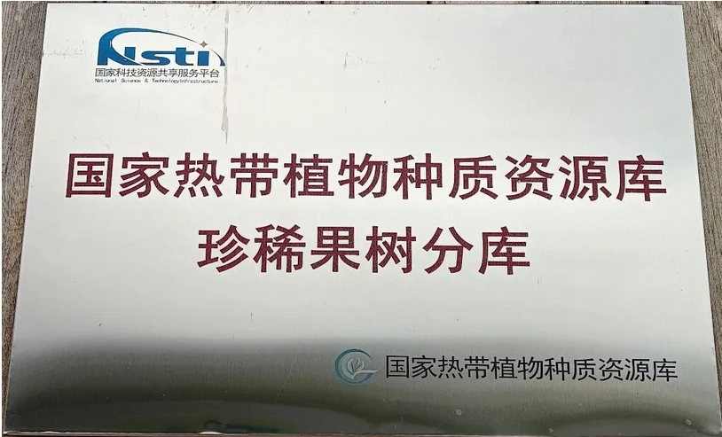 国家热带植物种质资源库珍稀果树分库