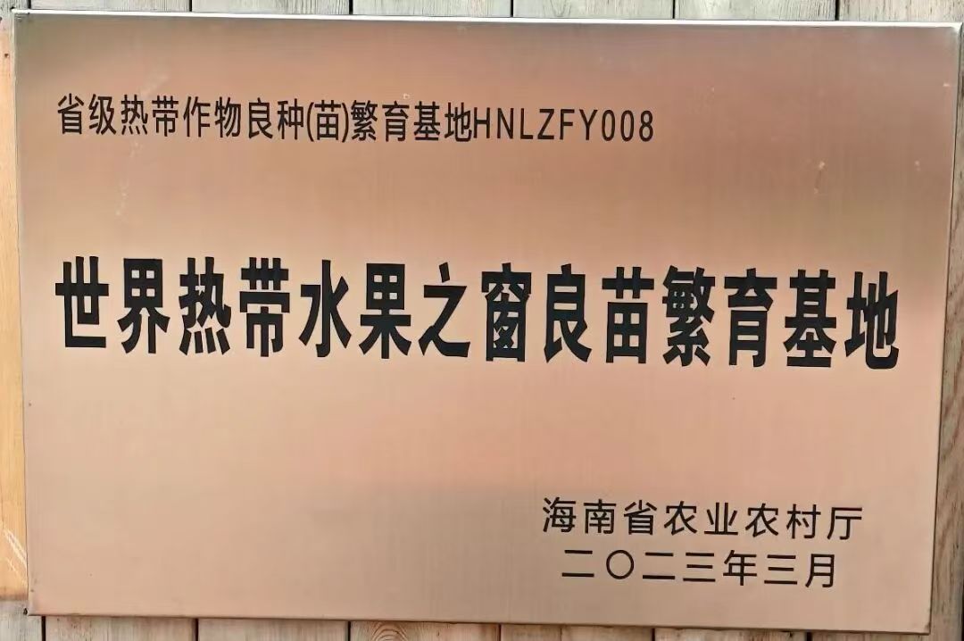 世界热带水果之窗良苗繁育基地