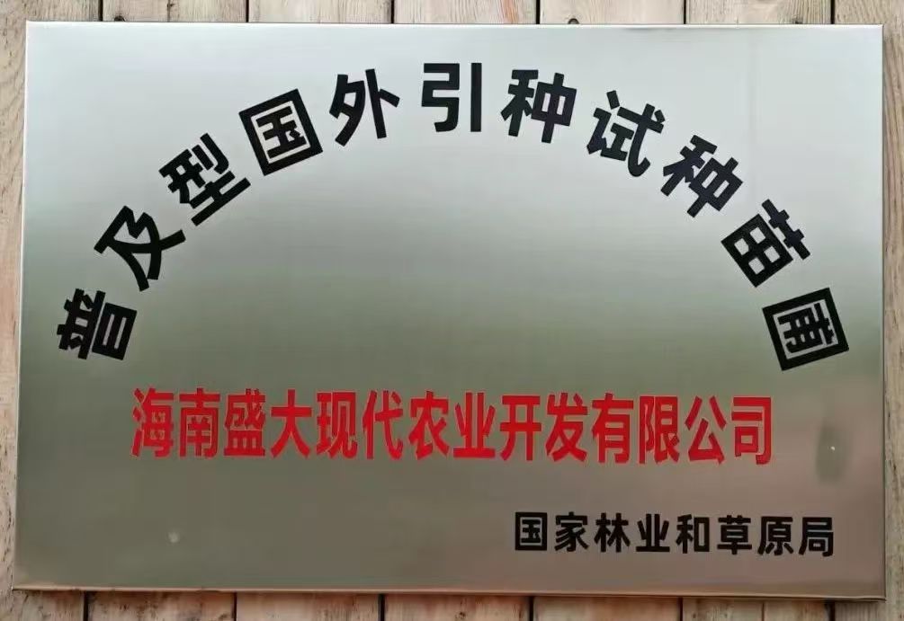 普及型国外引进种试种苗圃